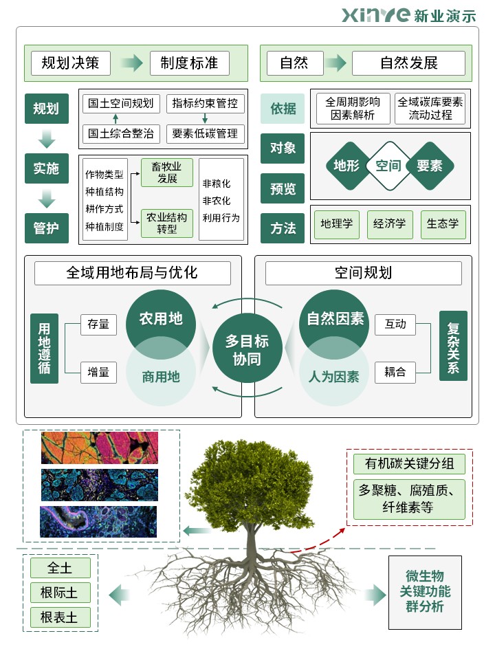 31-2科研绘图(碳循环-绿色)第5页预览图
