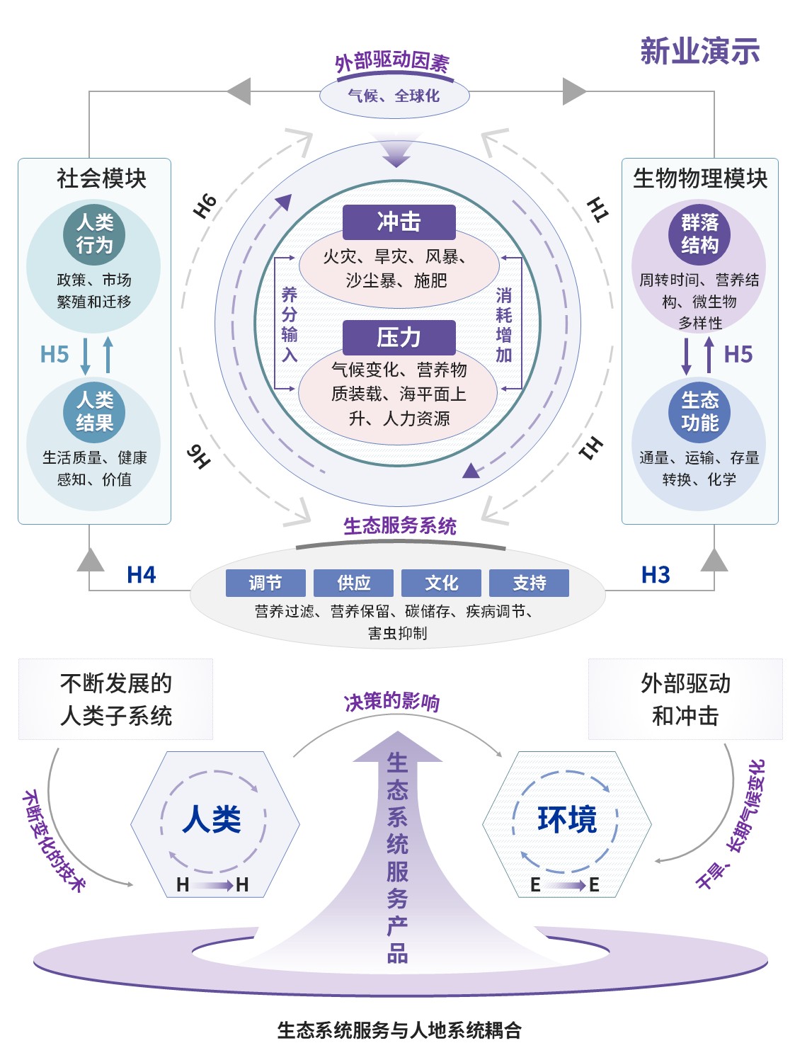 0社会—生态系统结构研究第1页预览图