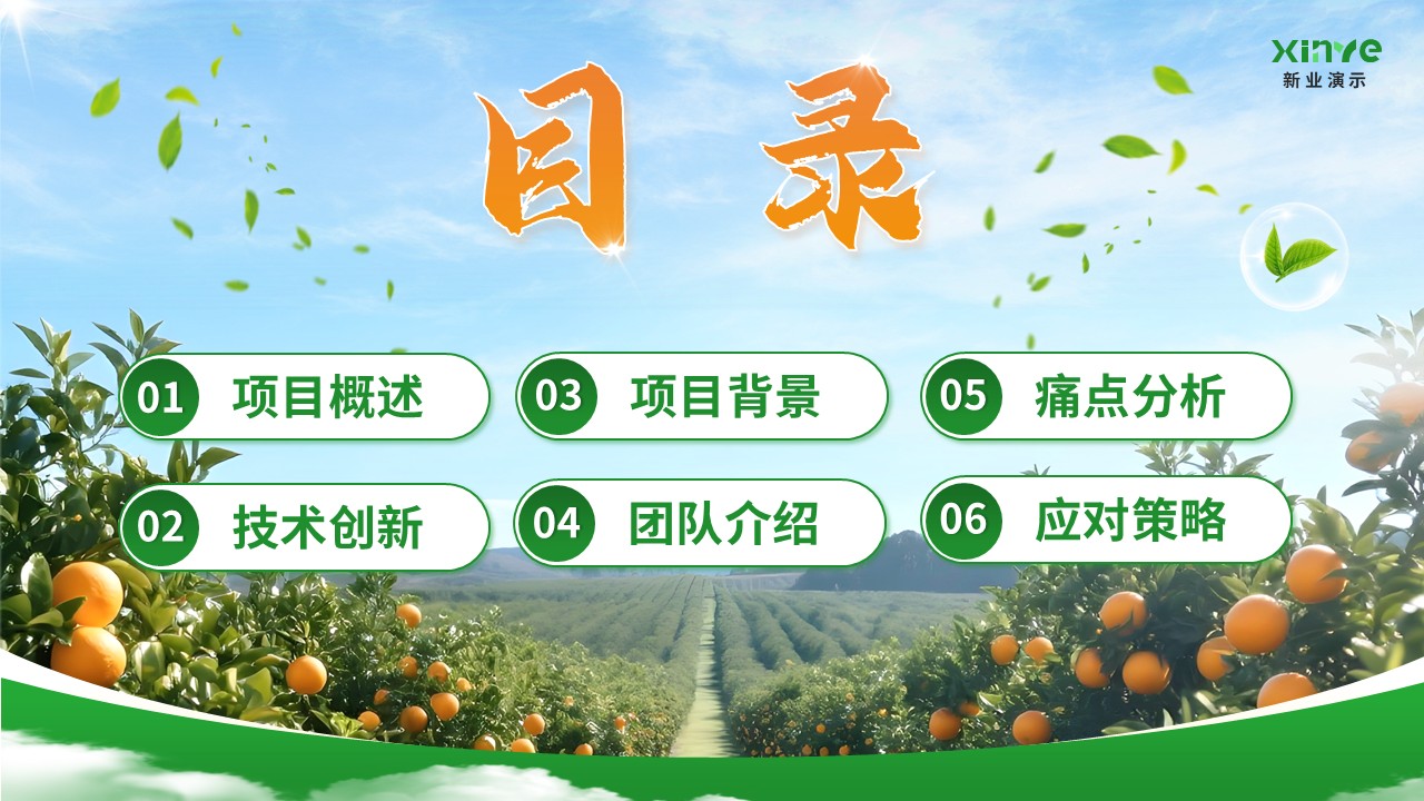 《橙就未来》大创赛第2页预览图