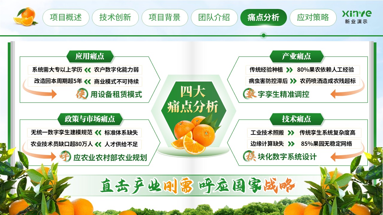 《橙就未来》大创赛第7页预览图