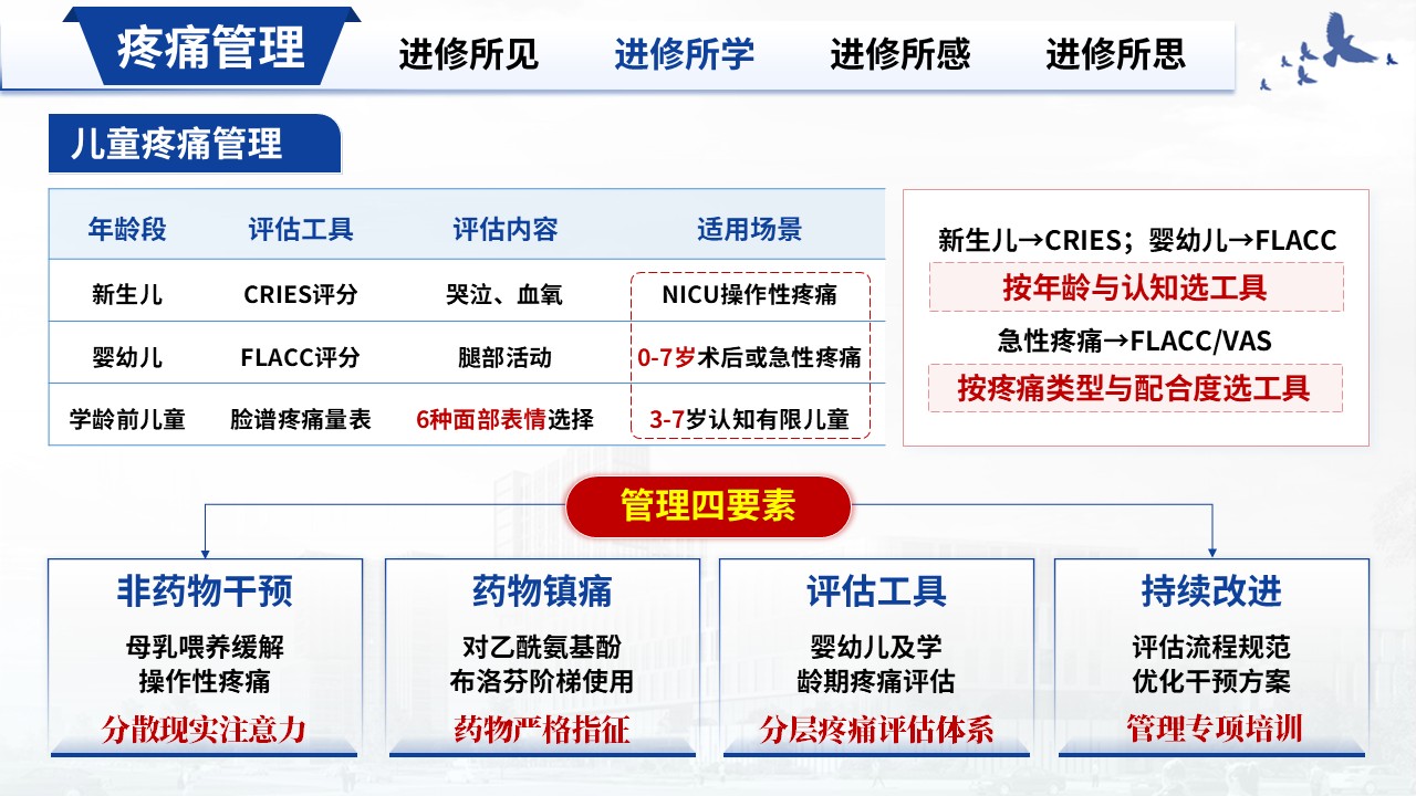 383期-进修汇报-儿科护士进修汇报第9页预览