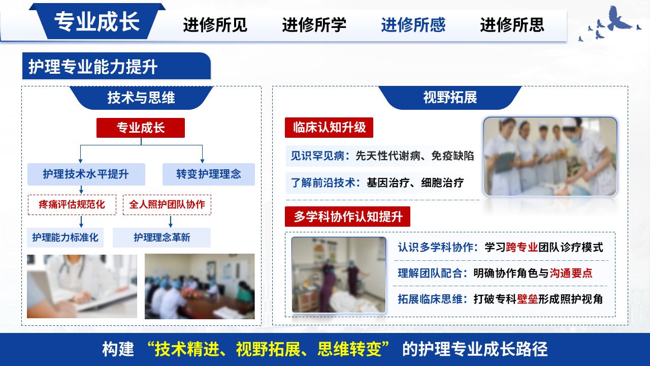 383期-进修汇报-儿科护士进修汇报第12页预览