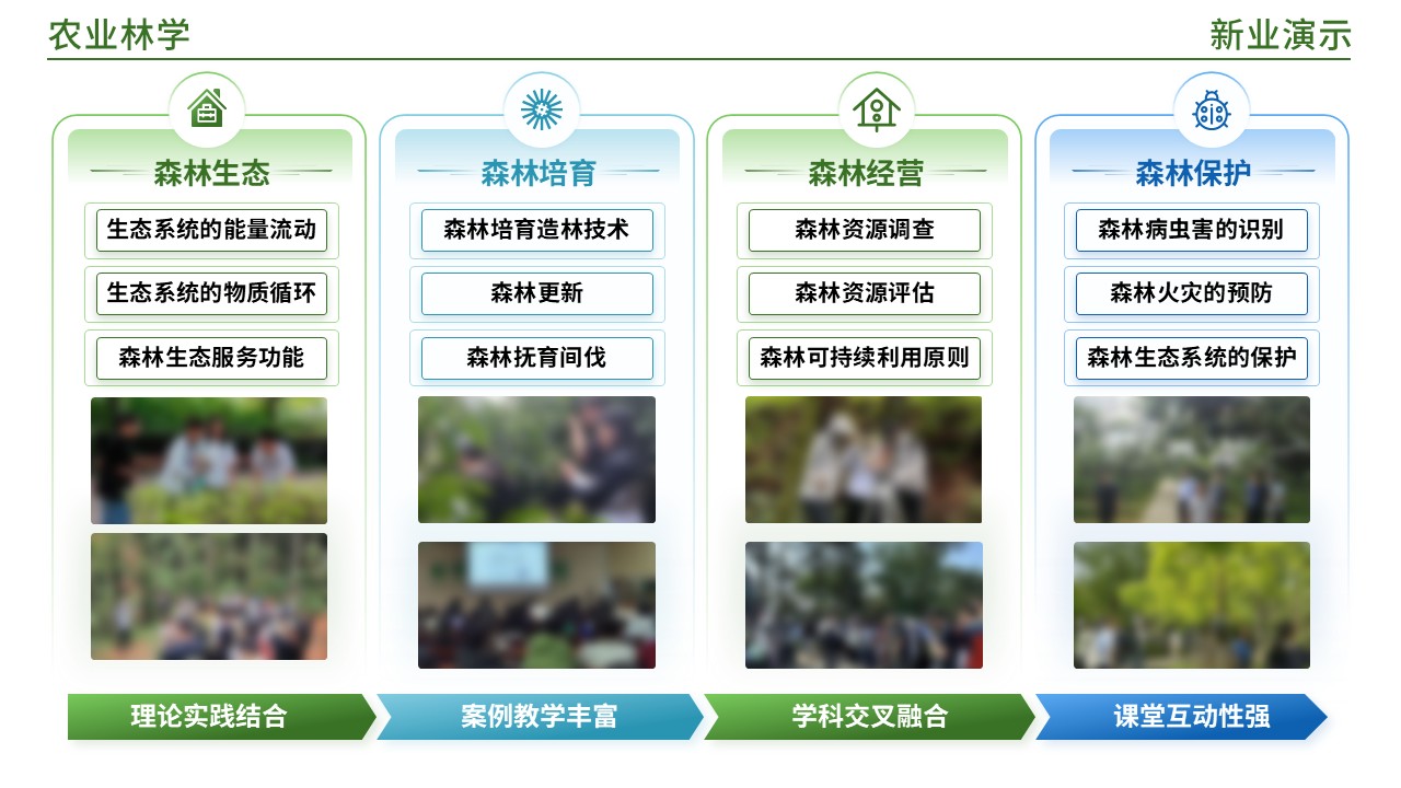 49-2《农业林业架构图》(蓝绿)第2页预览图