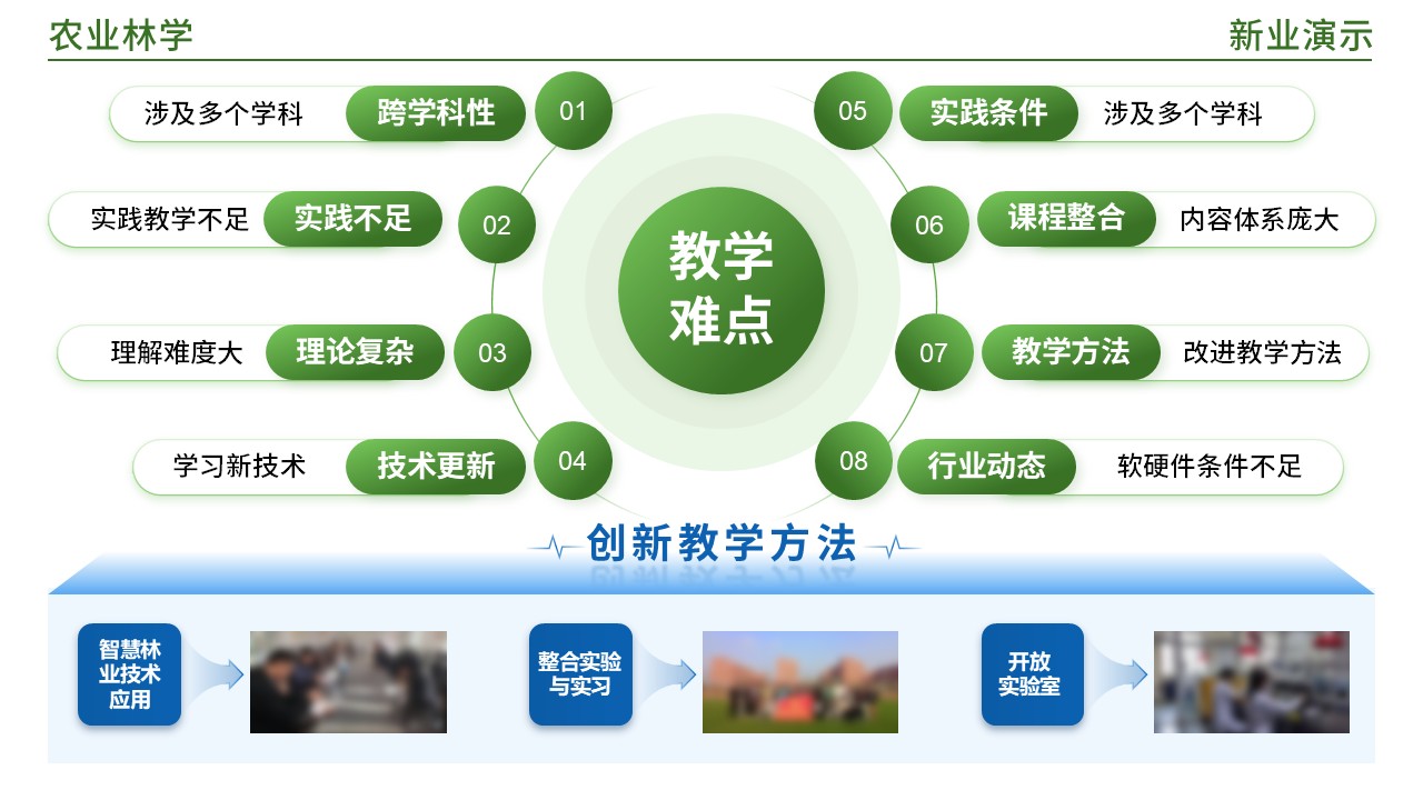 49-2《农业林业架构图》(蓝绿)第3页预览图