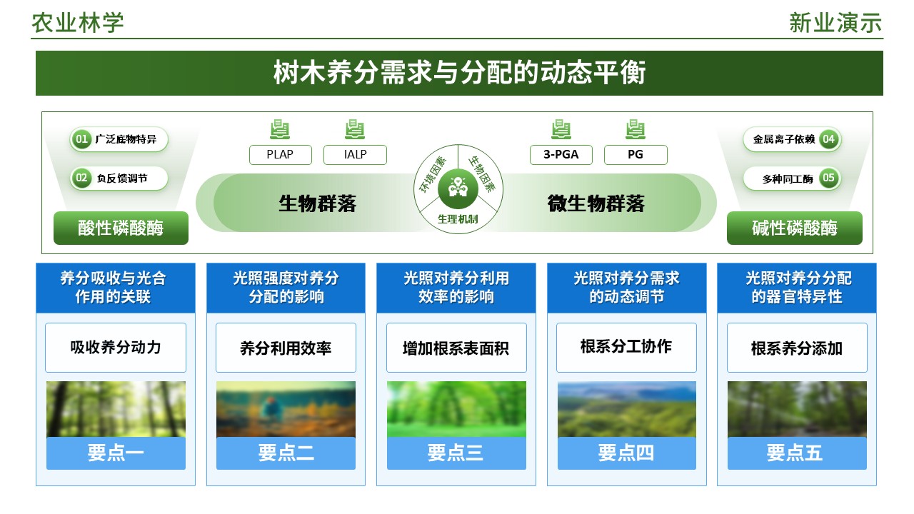 49-2《农业林业架构图》(蓝绿)第11页预览图