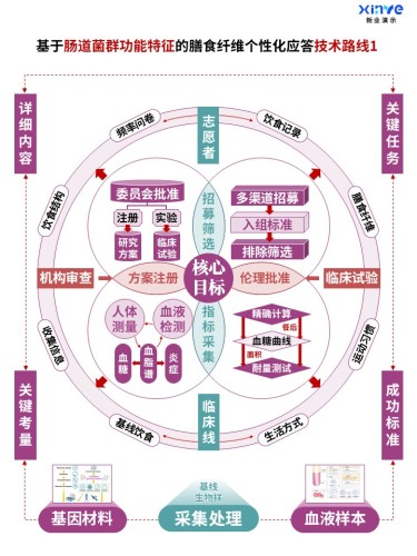 60-1科研架构图 (肠道菌群功能-紫绿红)