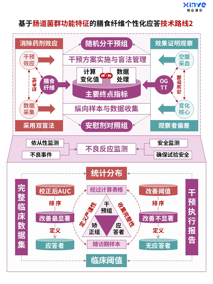 60-1科研架构图 (肠道菌群功能-紫绿红)第2页预览图
