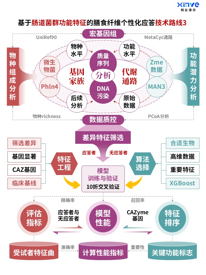 60-1科研架构图 (肠道菌群功能-紫绿红)第3页预览图