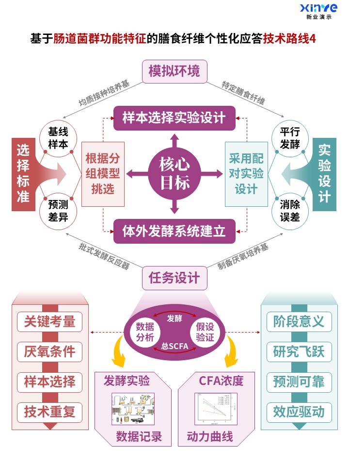 60-1科研架构图 (肠道菌群功能-紫绿红)第4页预览图