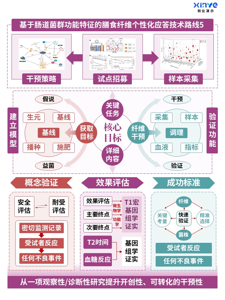 60-1科研架构图 (肠道菌群功能-紫绿红)第5页预览图