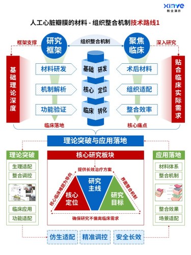 71-1科研架构图(人工心脏瓣膜的整合机制-蓝红绿)