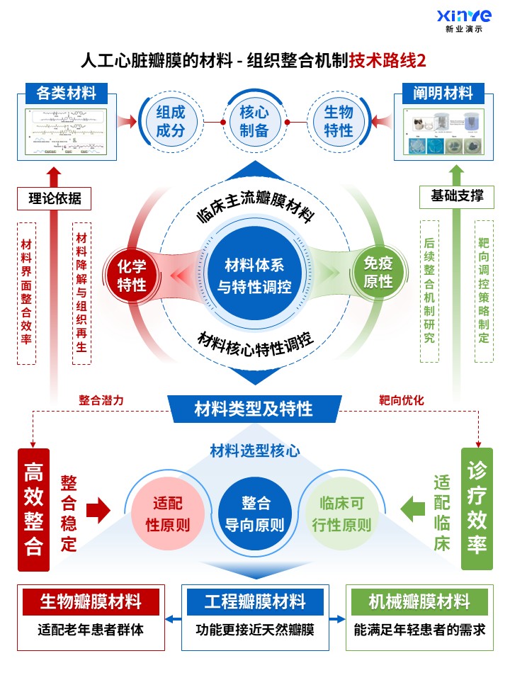 71-1科研架构图（人工心脏瓣膜的整合机制-蓝红绿）第2页预览图