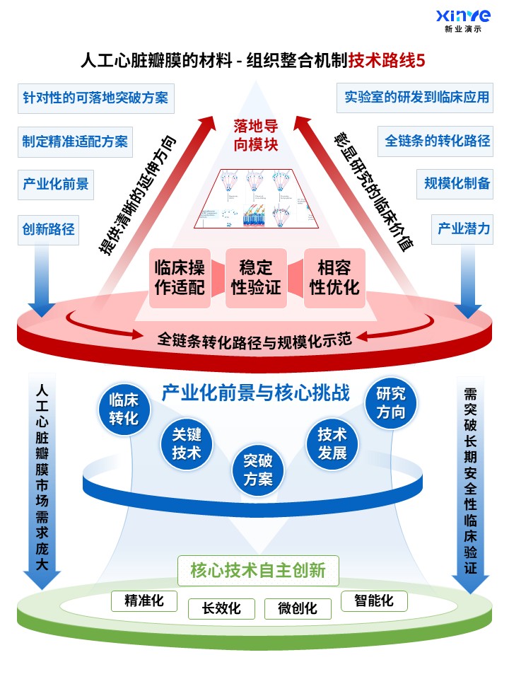 71-1科研架构图（人工心脏瓣膜的整合机制-蓝红绿）第5页预览图