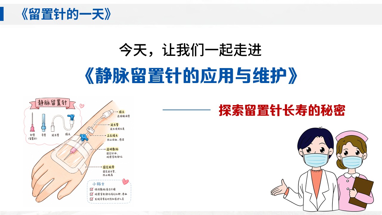 379期-护理说课-静脉留置针的应用与维护第3页预览