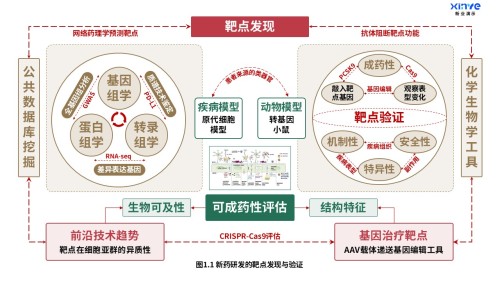 16-1科研架构图(药物研究-棕红绿)