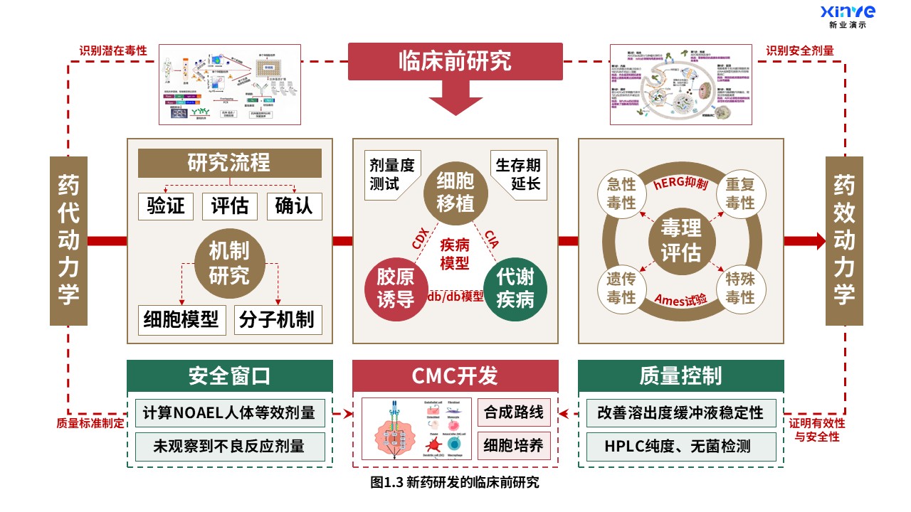 16-1科研架构图（药物研究-棕红绿）第3页预览图
