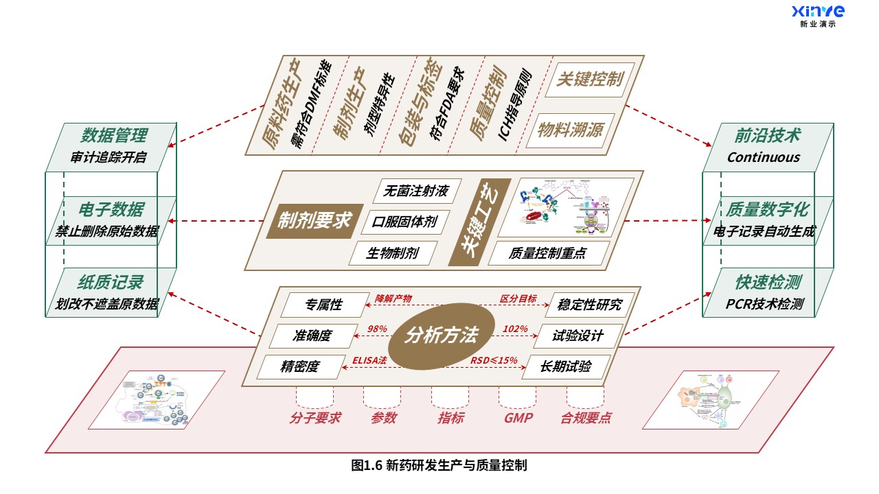 16-1科研架构图（药物研究-棕红绿）第6页预览图