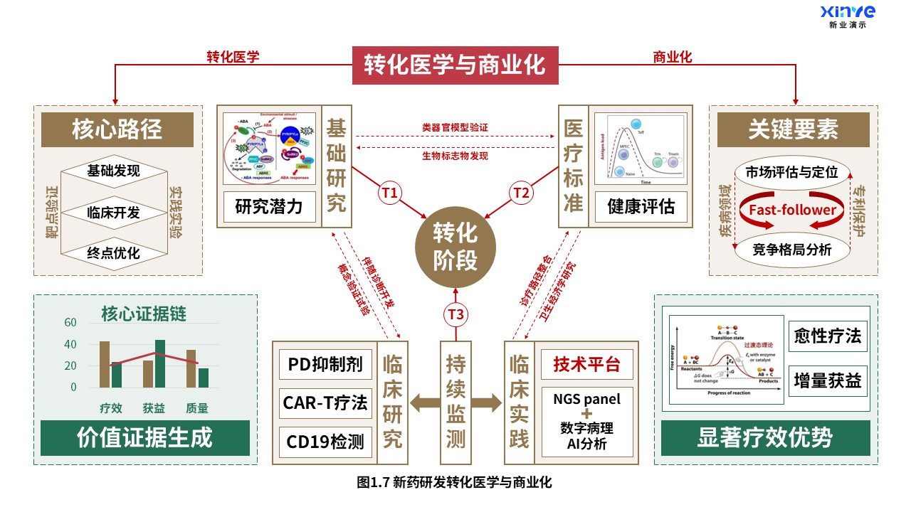 16-1科研架构图（药物研究-棕红绿）第8页预览图