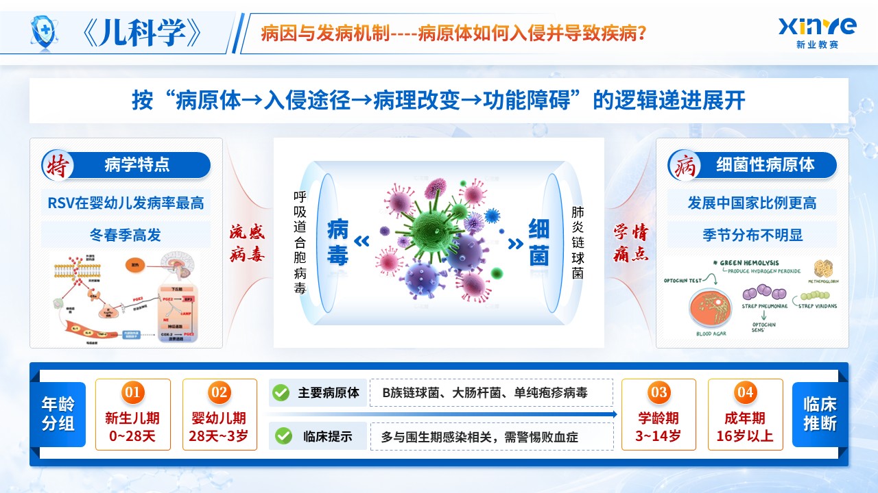 《炎症风暴》青教赛第5页预览图