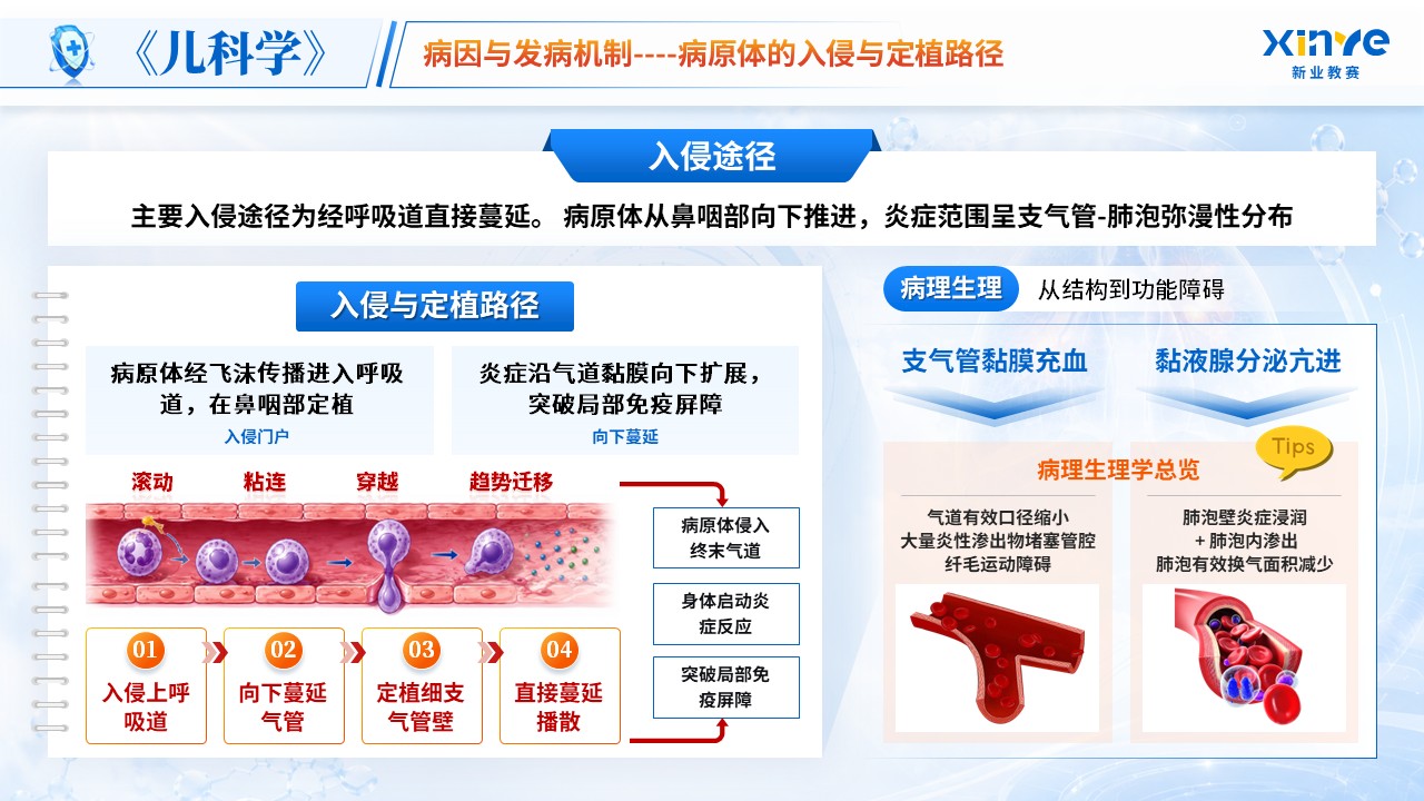 《炎症风暴》青教赛第6页预览图