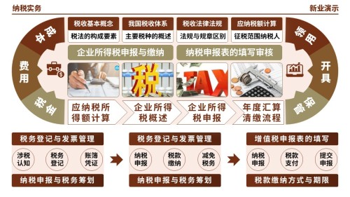 55-1《纳税实务架构图》(棕色)