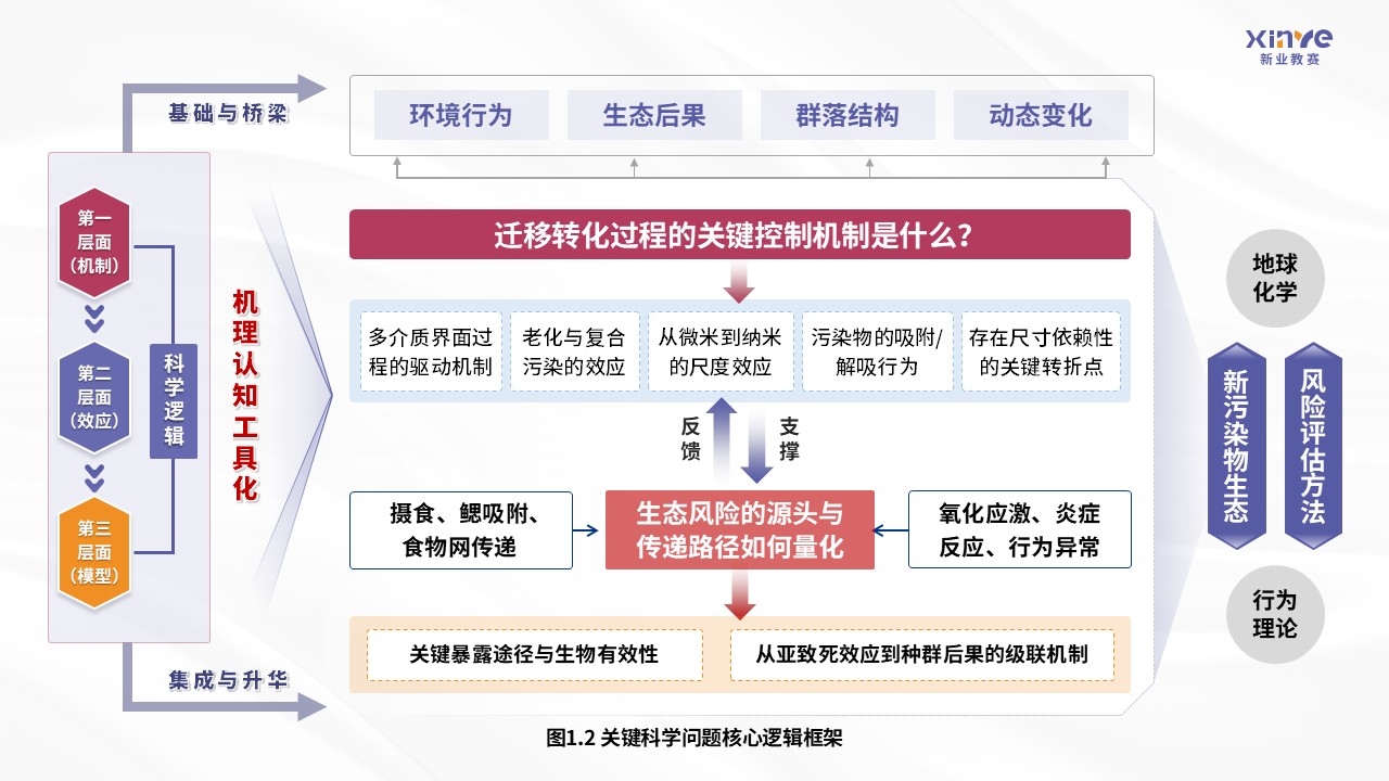 42-2科研架构图（微塑料在淡水生态系统中的迁移规律及生态风险评估-紫粉）第2页预览图