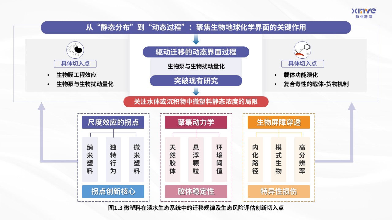 42-2科研架构图（微塑料在淡水生态系统中的迁移规律及生态风险评估-紫粉）第3页预览图