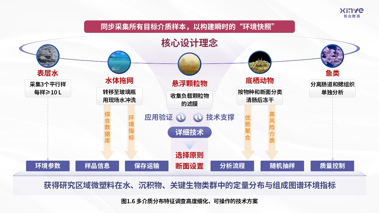 42-2科研架构图（微塑料在淡水生态系统中的迁移规律及生态风险评估-紫粉）第6页预览图