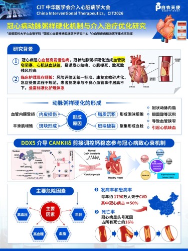 1-医疗展板-冠心病动脉粥样硬化机制与介入治疗优化研究