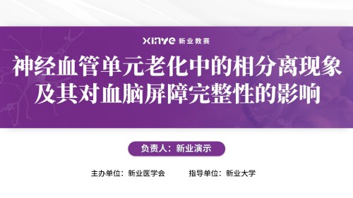 学术会议(神经血管-紫色)