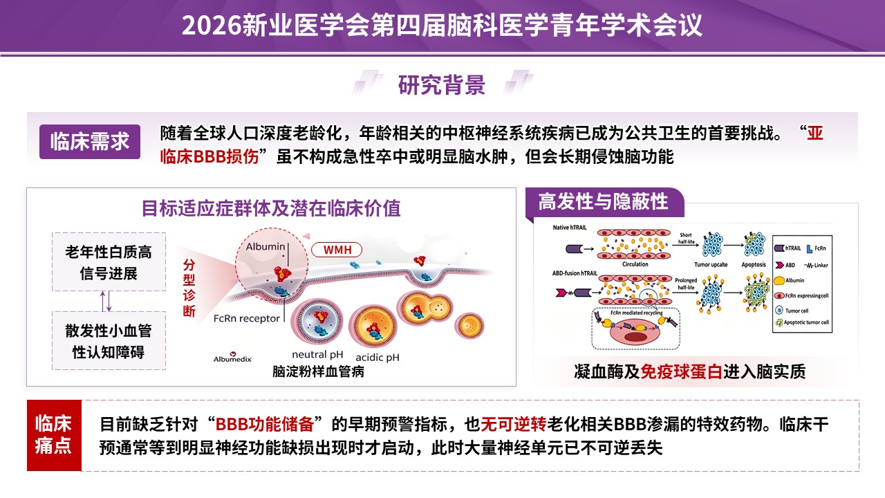 学术会议（神经血管-紫色）第3页预览图