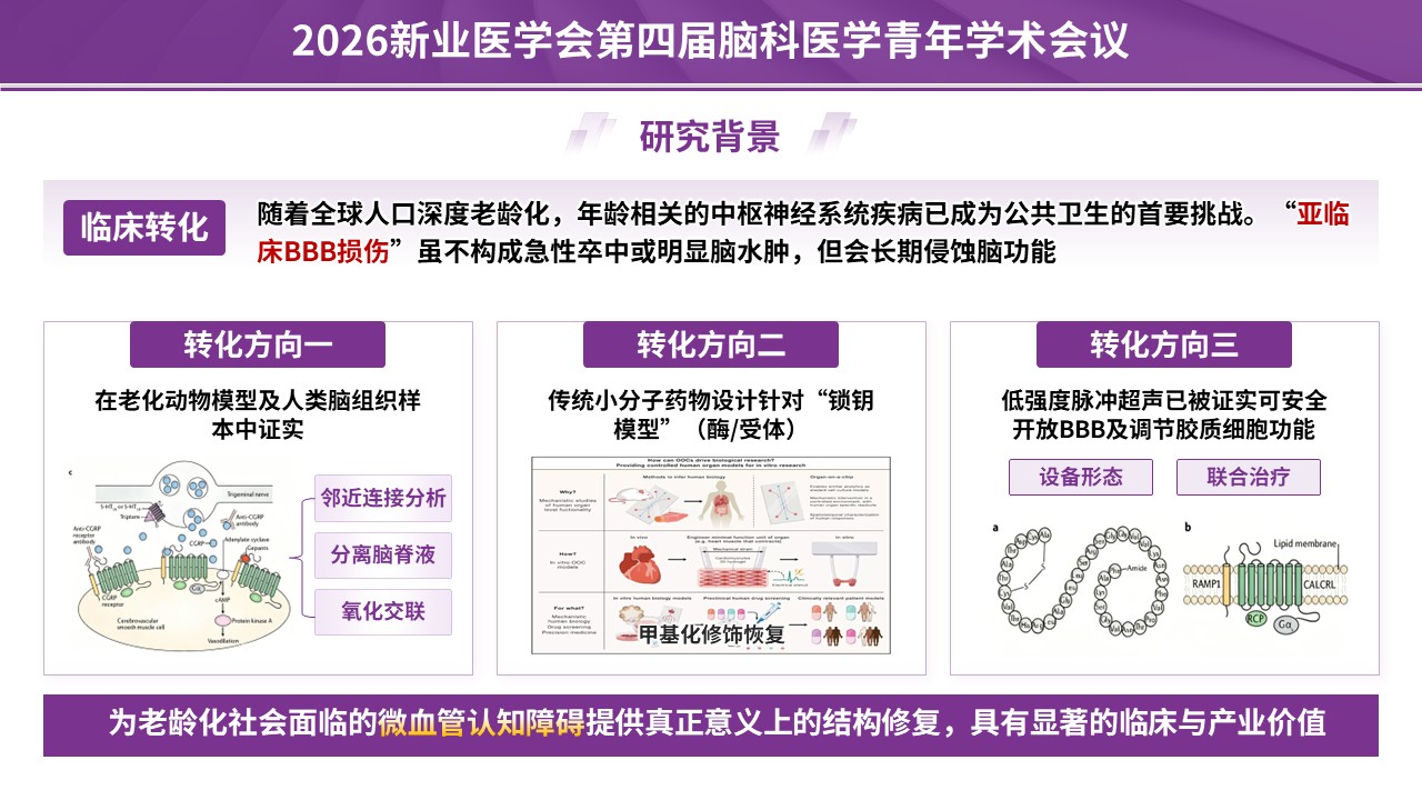 学术会议（神经血管-紫色）第4页预览图