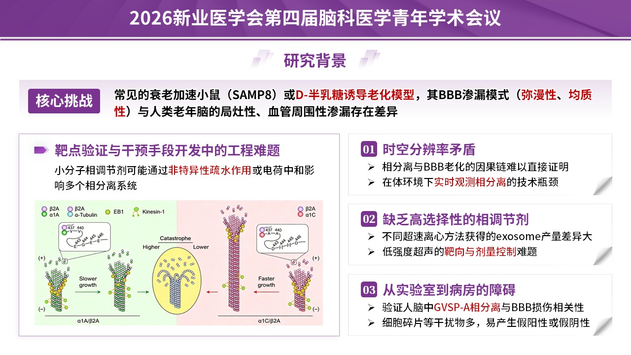 学术会议（神经血管-紫色）第5页预览图