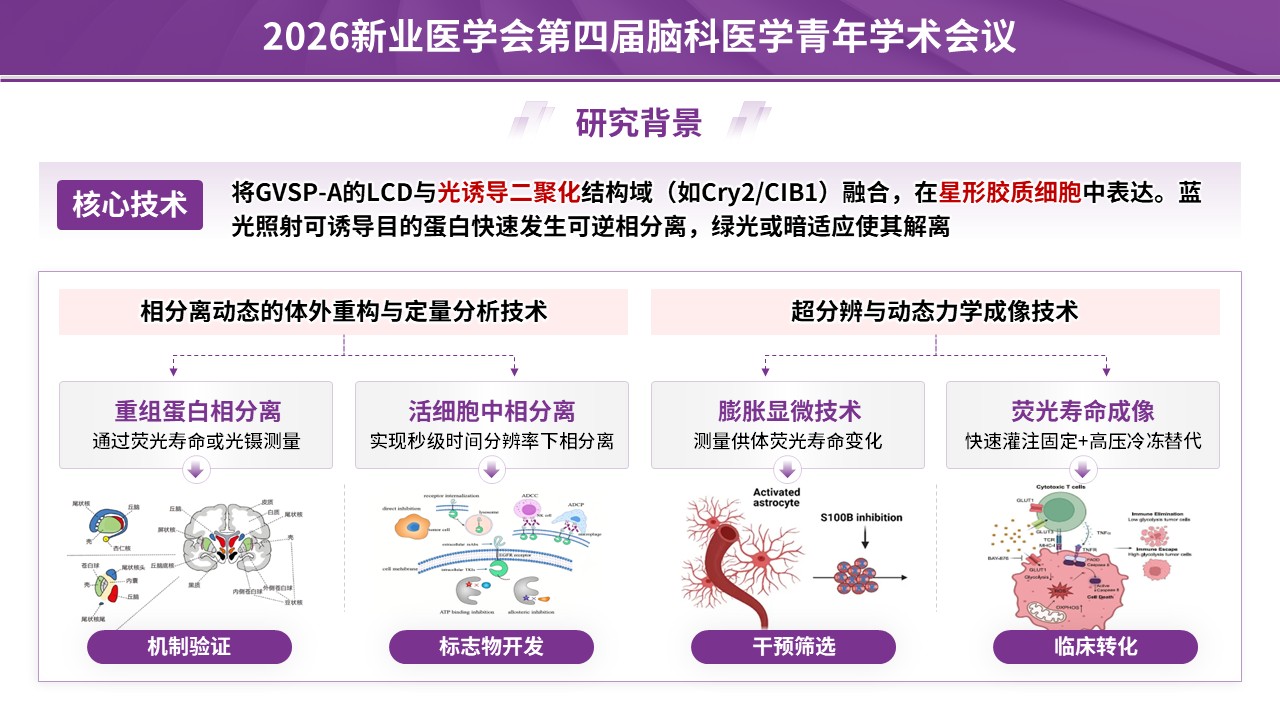 学术会议（神经血管-紫色）第6页预览图