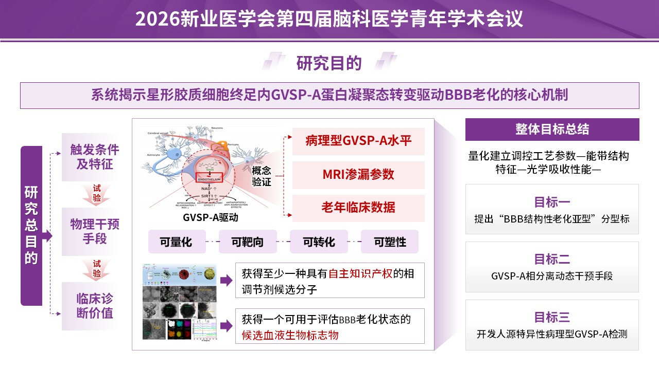 学术会议（神经血管-紫色）第7页预览图