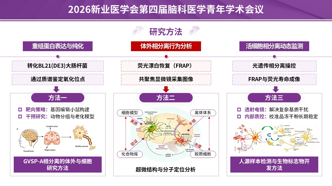 学术会议（神经血管-紫色）第8页预览图