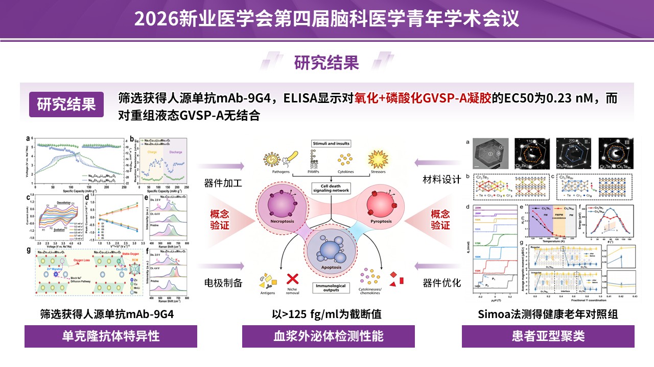 学术会议（神经血管-紫色）第11页预览图