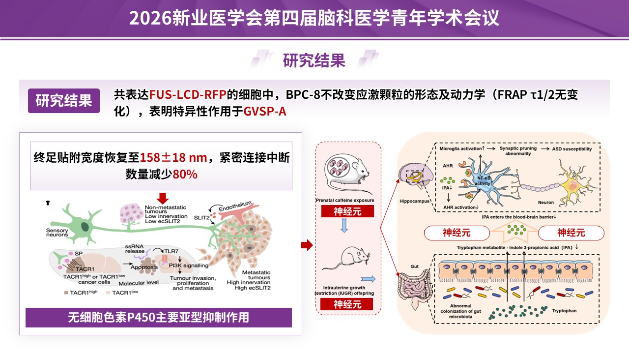 学术会议（神经血管-紫色）第12页预览图