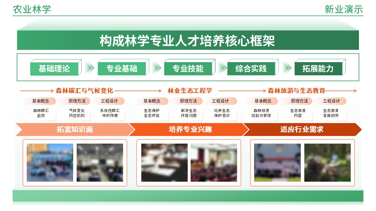 49-1《农业林学架构图》(橙绿)第8页预览图