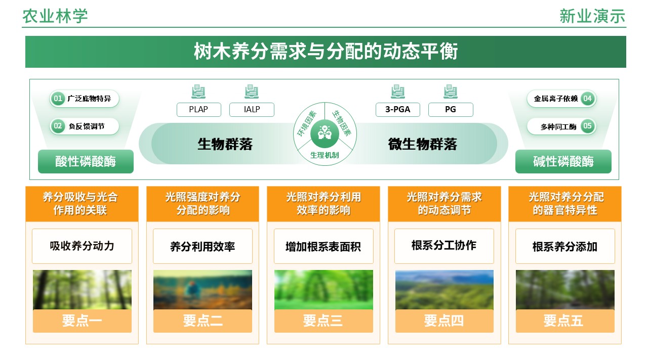 49-1《农业林学架构图》(橙绿)第11页预览图
