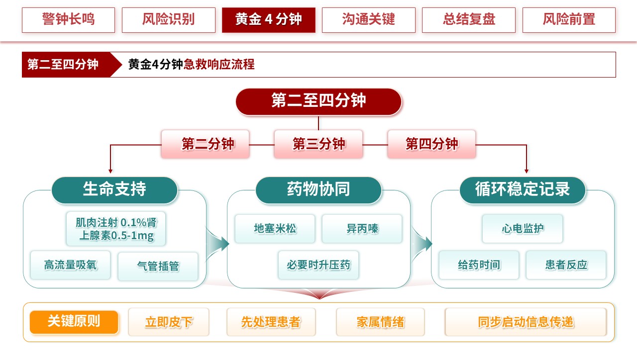 318期-护理小讲课-过敏休克 4 分钟：急救响应与家属情绪安抚沟通第12页预览