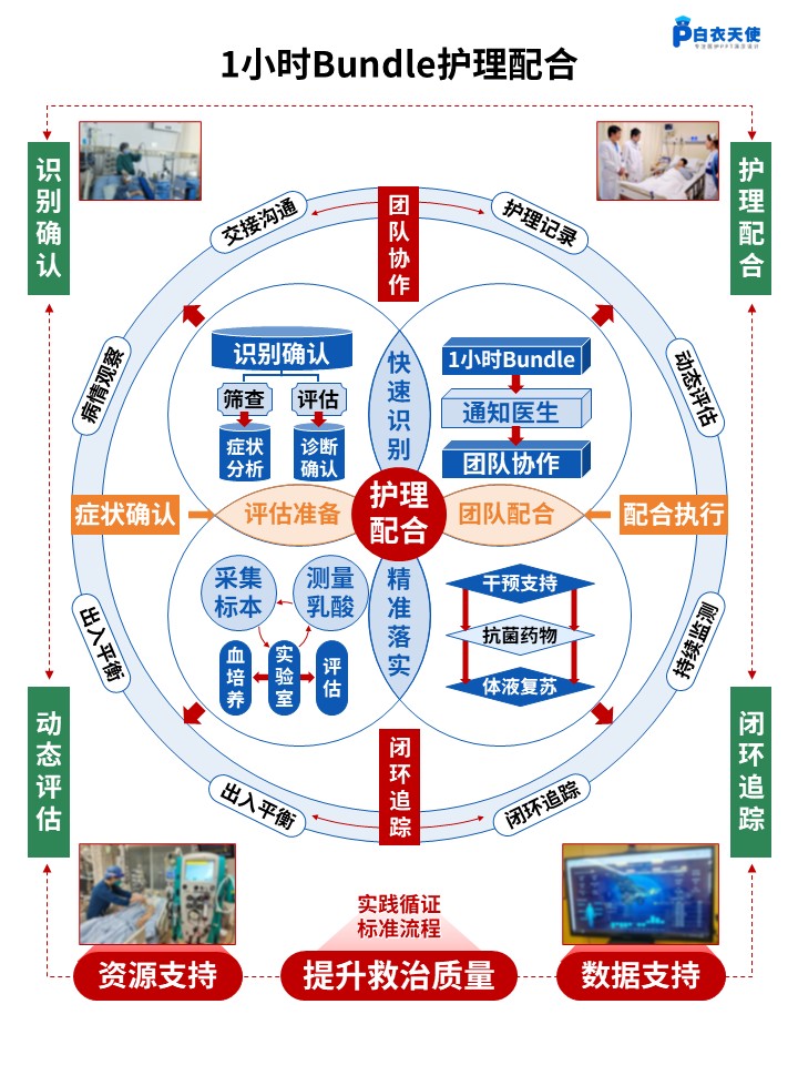 460期-架构图-脓毒症早期识别闭环处置架构第3页预览