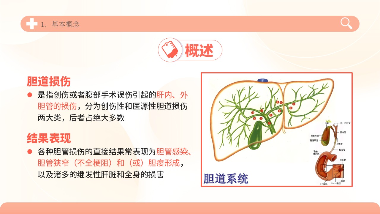04-胆道损伤护理方案第4页预览