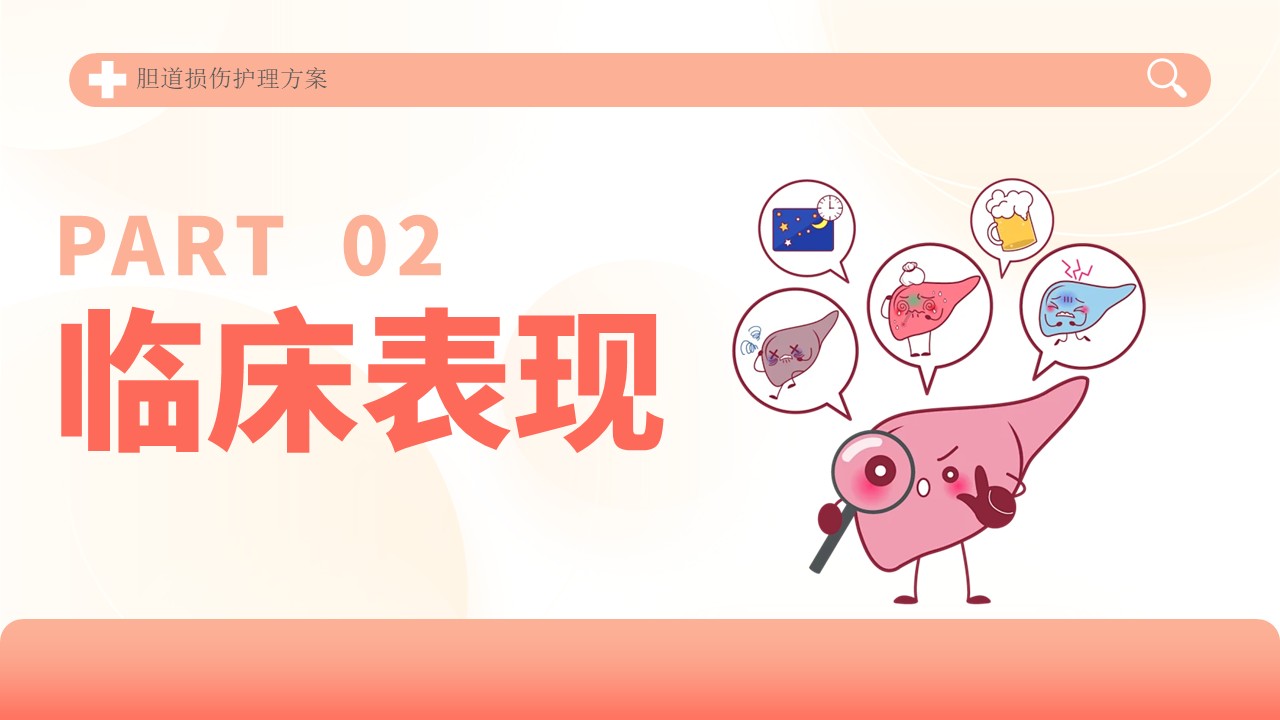 04-胆道损伤护理方案第9页预览