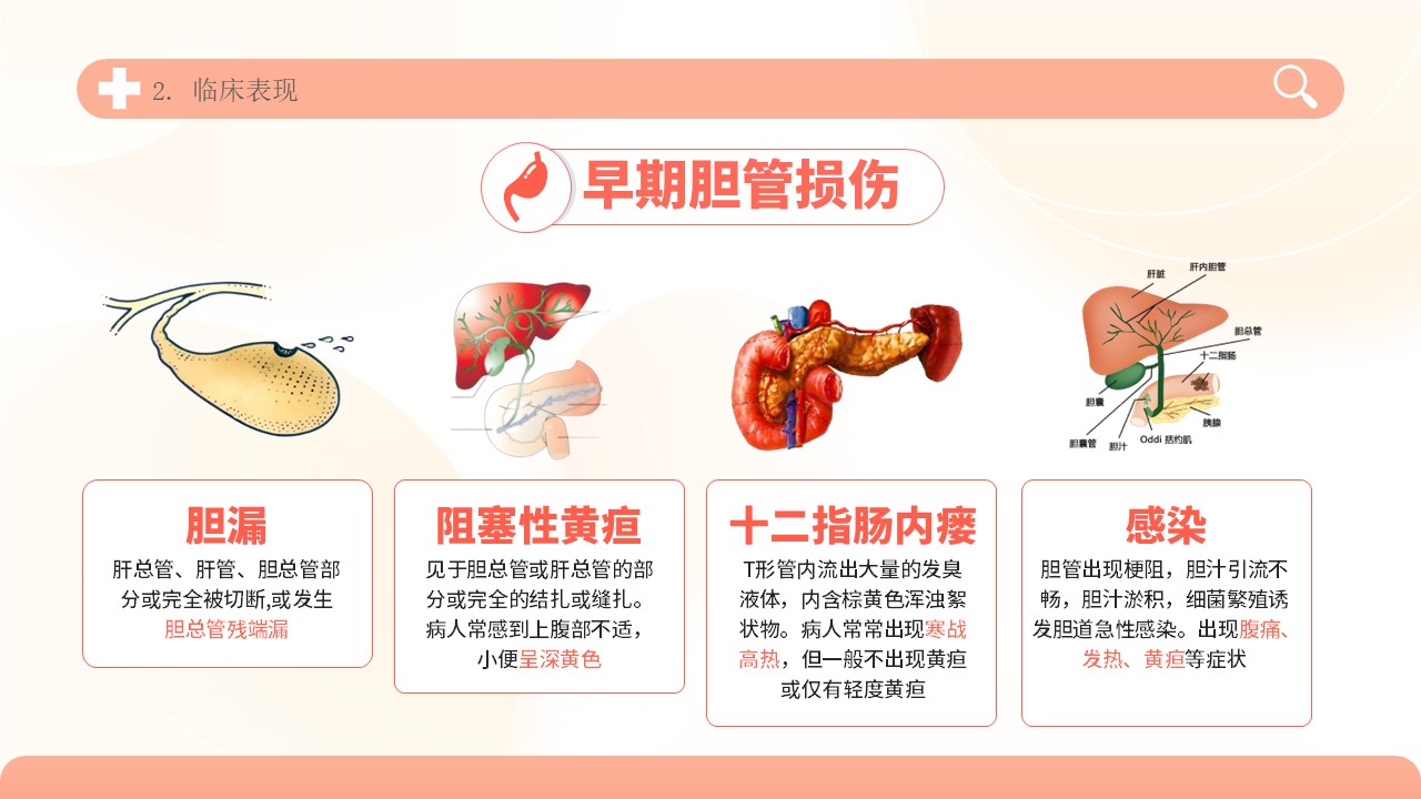 04-胆道损伤护理方案第10页预览