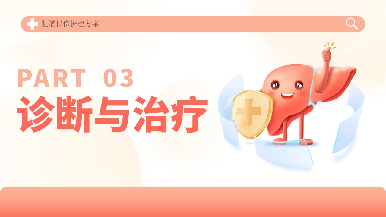 04-胆道损伤护理方案第12页预览