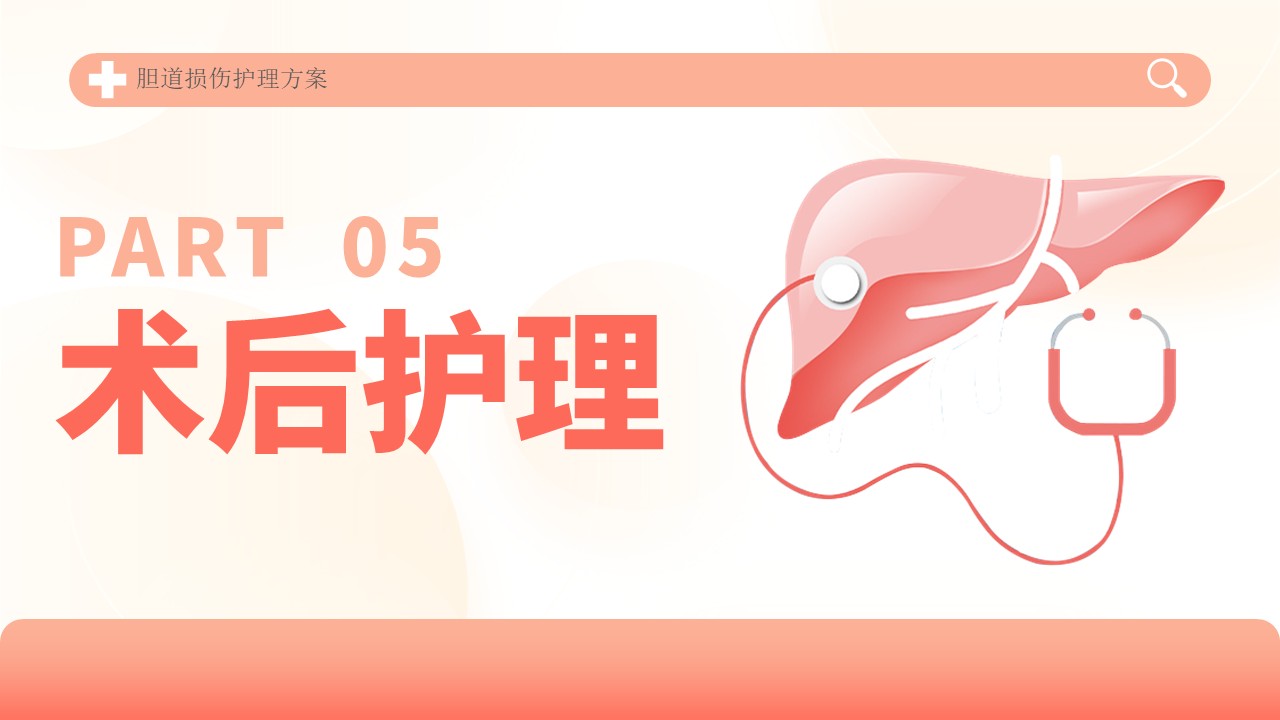 04-胆道损伤护理方案第20页预览