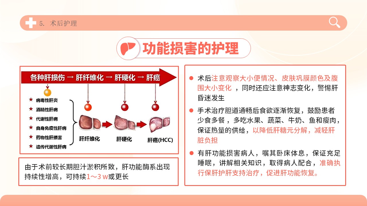 04-胆道损伤护理方案第22页预览