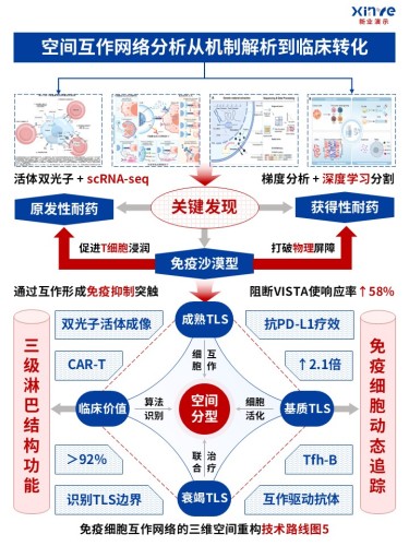 53-1技术路线图(免疫细胞互作网络-红蓝灰)