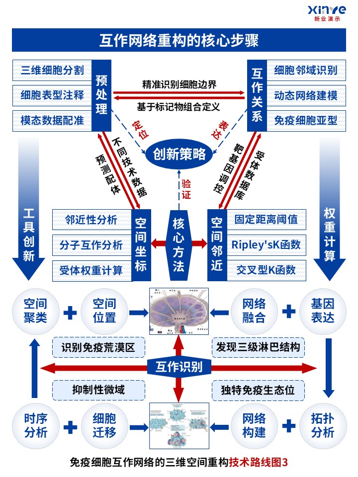 53-1技术路线图（免疫细胞互作网络-红蓝灰）第2页预览图